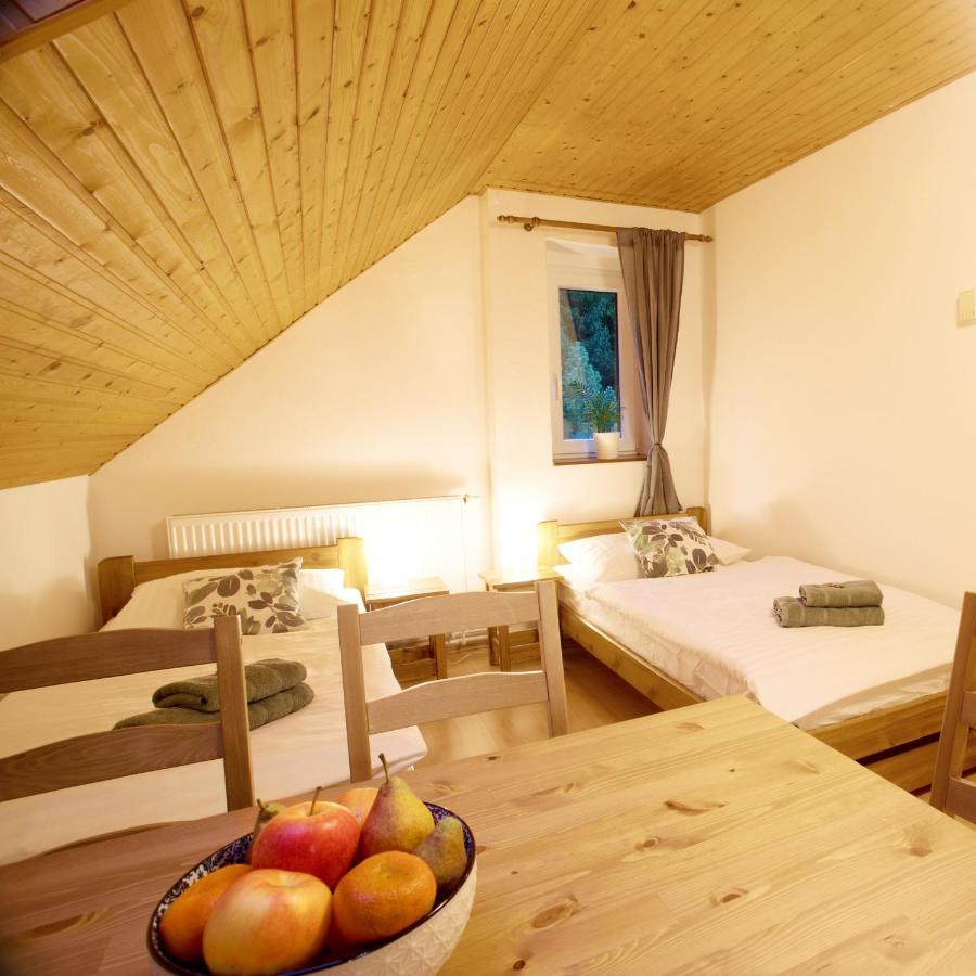 Apartmany Bramborka Janov nad Nisou Buitenkant foto